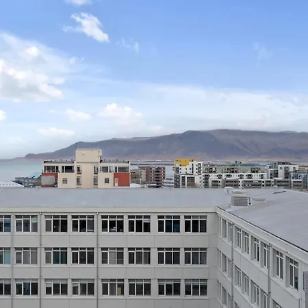 Downtown City Gem! Apartment